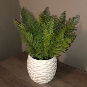 Meet your Posher, Bri